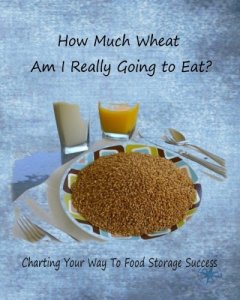 How Much Wheat Am I Really Going To Eat? by Anne McFadden
