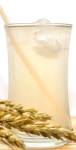 Barley Water Image